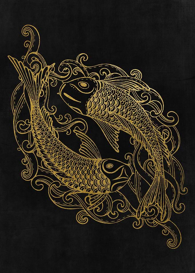 Two Japanese Koi Fishes