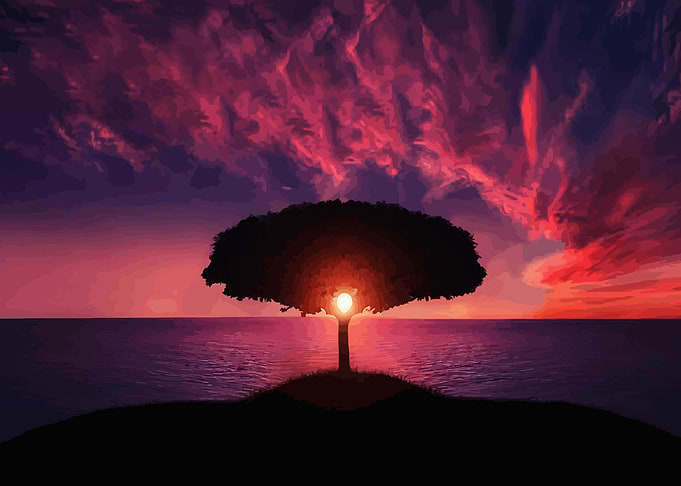 Trees and Sunset 1