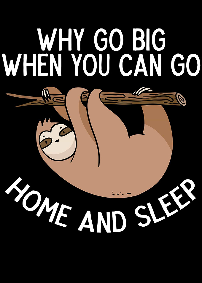 Go Home And Sleep