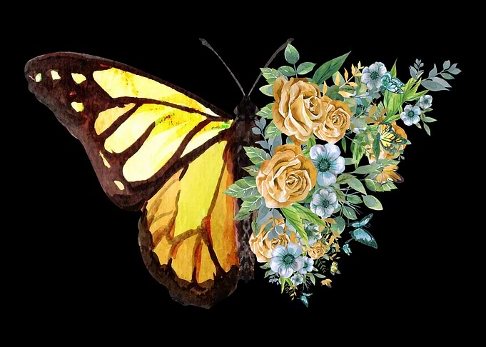 Butterfly