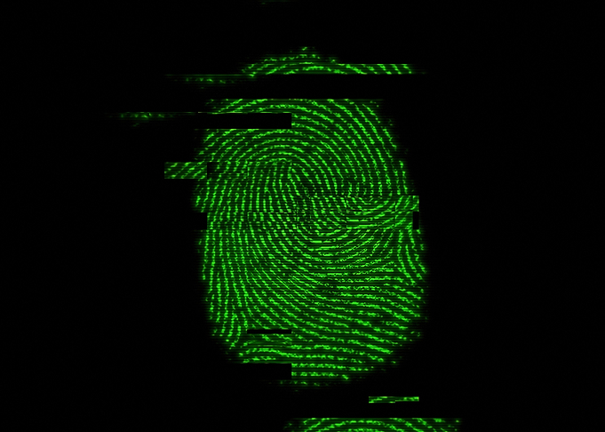 Fingerprints flash glitch