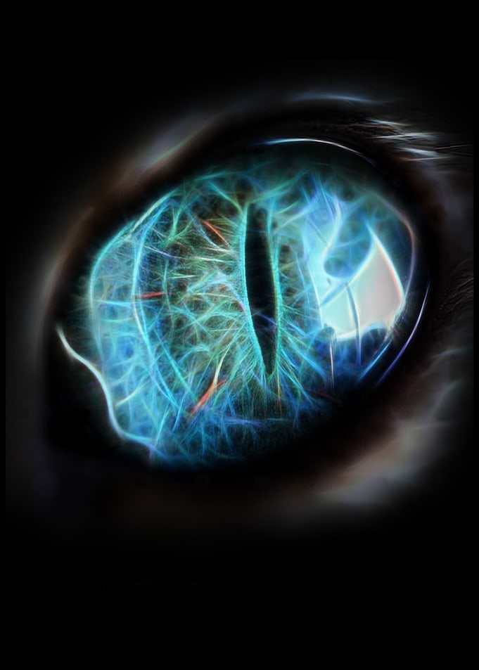 Wild Eye