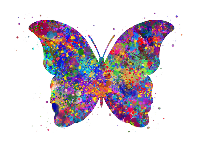 Butterfly cute