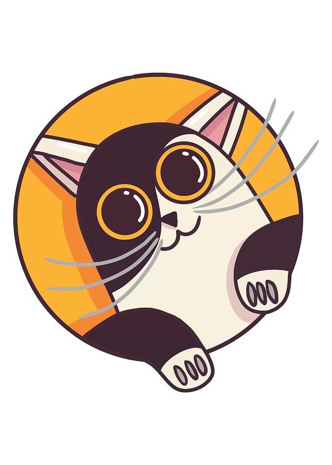CUTE CAT LOOKING OUT