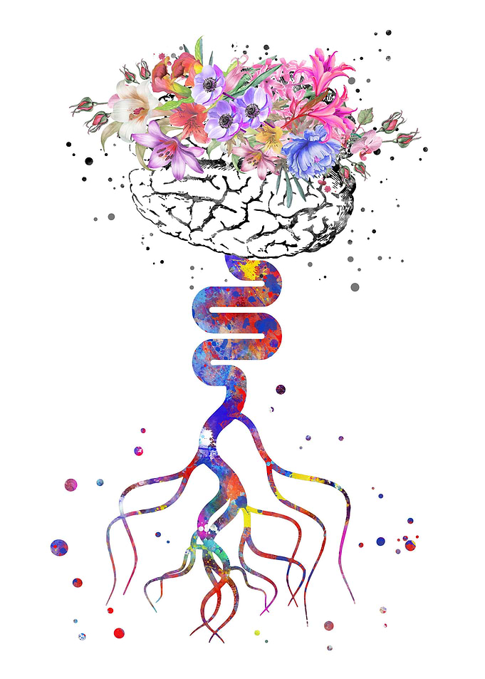 Brain tree