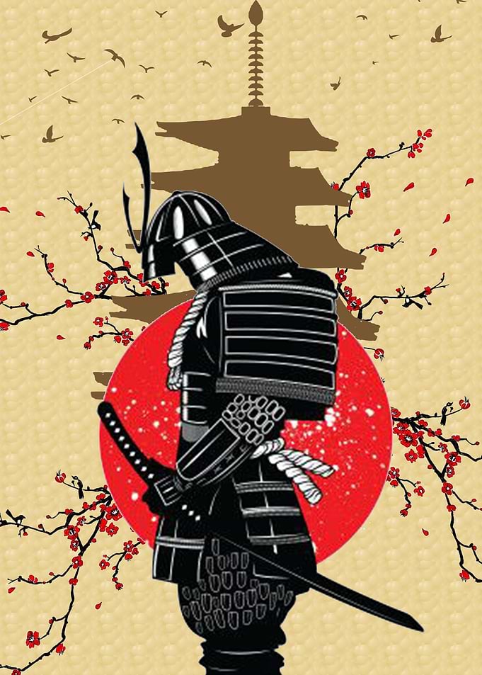 Assassin A Shadow