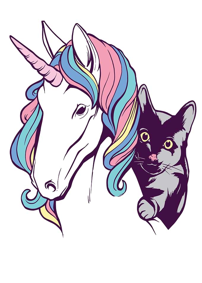CUTE CAT UNICORN