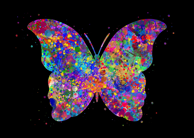 Butterfly watercolor art