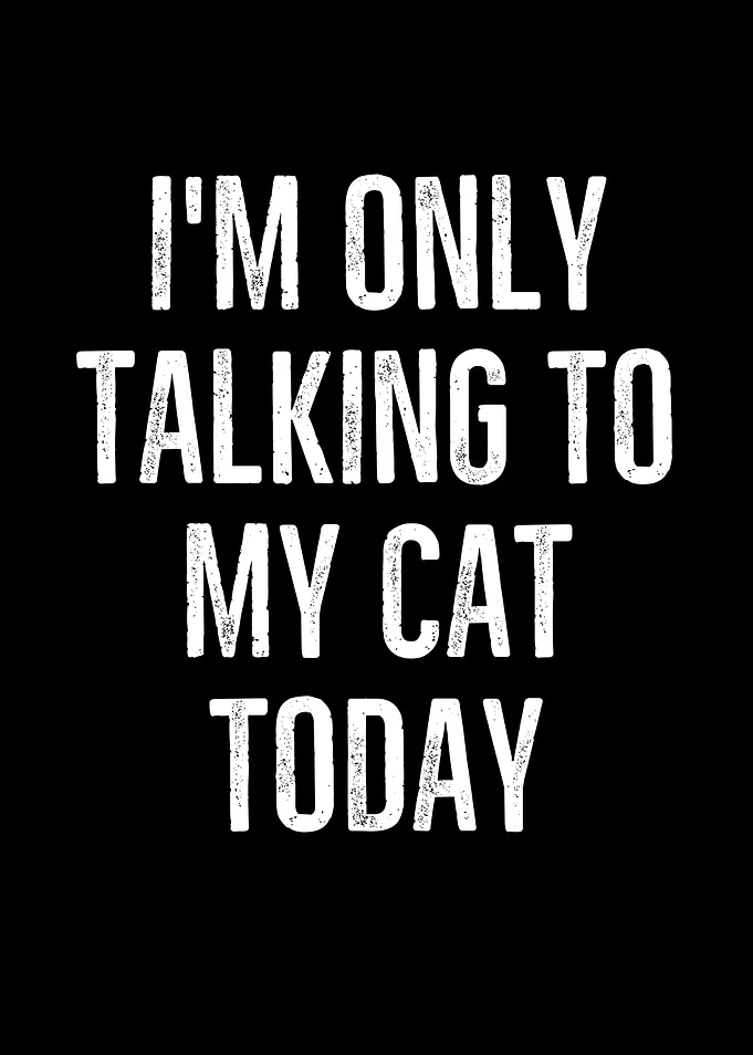 Im Only Talking To My Cat