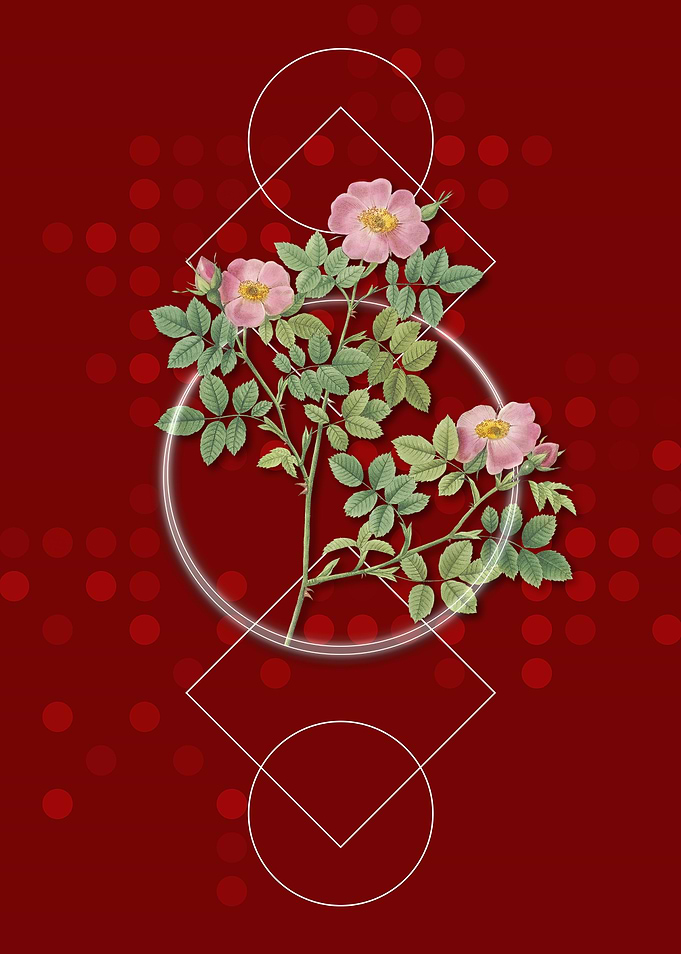 Vintage Rose Corymb Flower