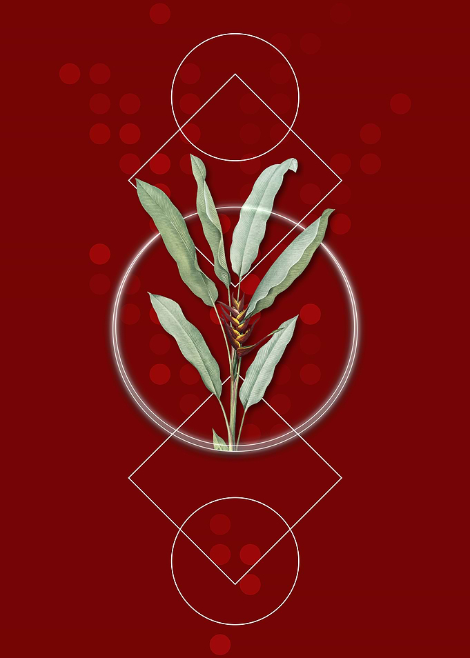 Vintage Parrot Heliconia