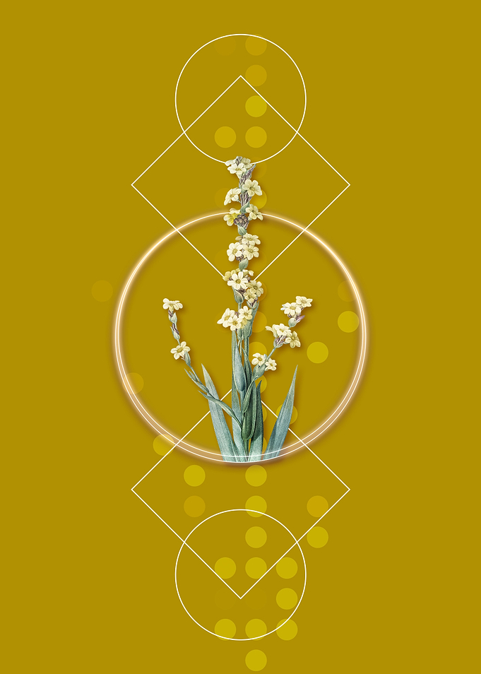Pale Yellow Eyed Grass