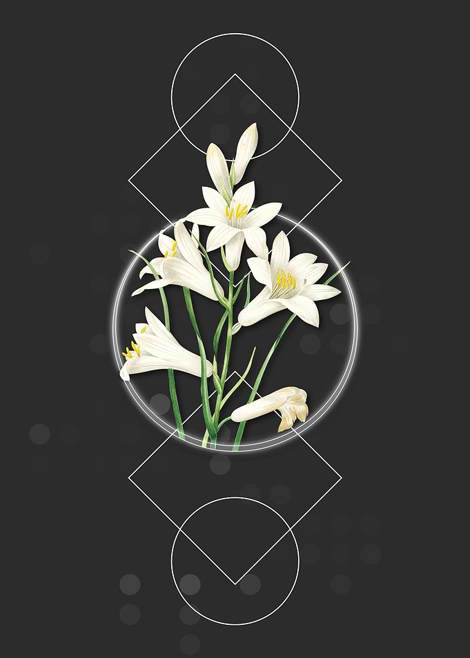 Vintage St Brunos Lily