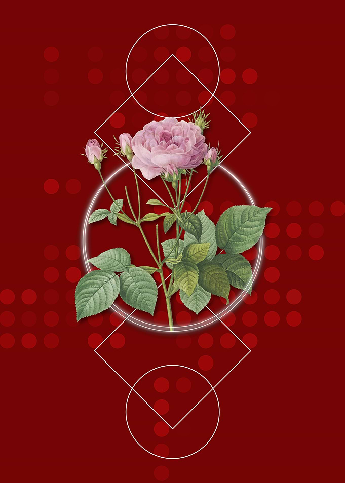 Vintage Pink French Roses