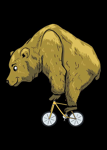 Cycling Cyclist Bear