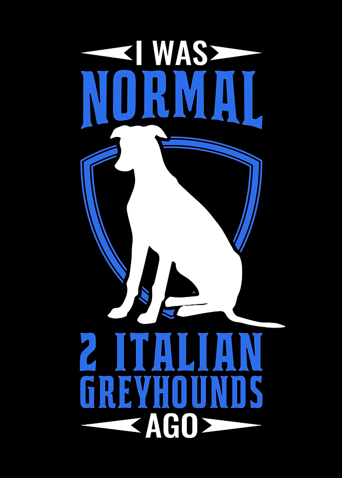 I Was Normal Italian