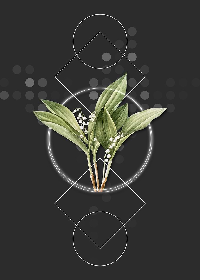 Vintage Lily of the Valley