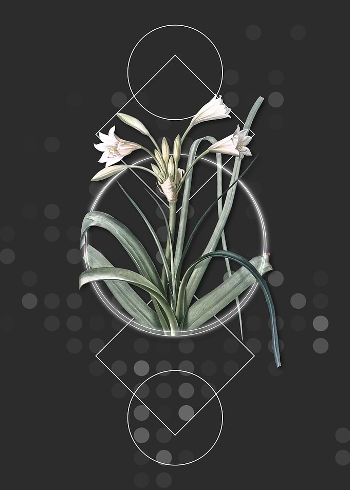 Vintage Malgas Lily Flower