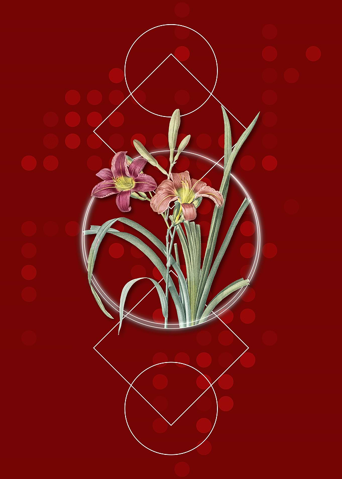 Vintage Orange Day Lily