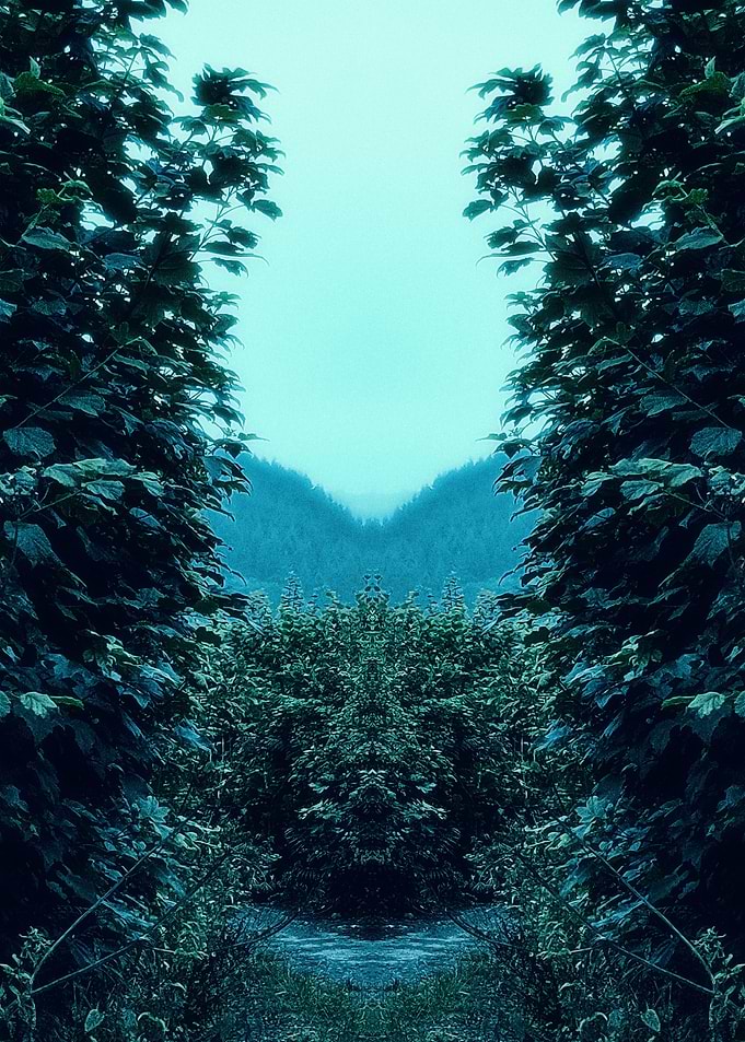 Countryside Mirrorverse 2