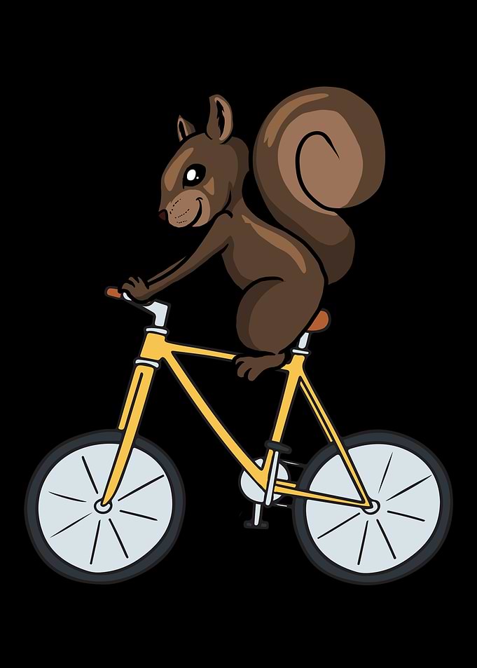 Cycling Cyclist Squirrel