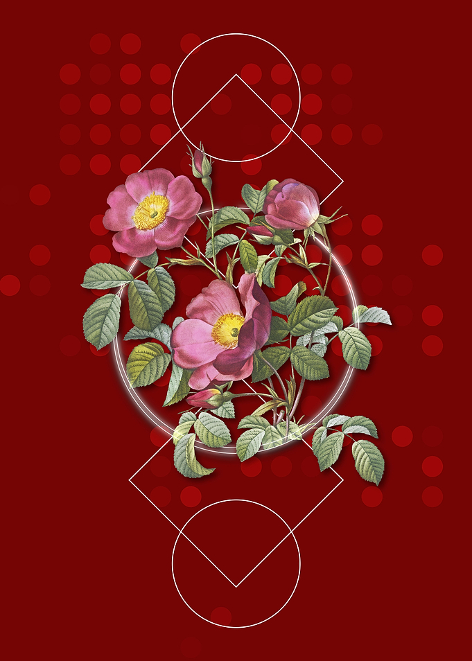 Vintage Rose of Love Bloom