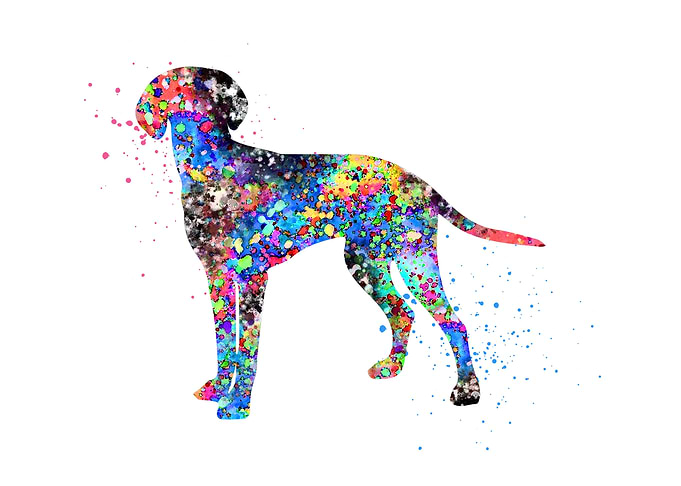 Vizsla