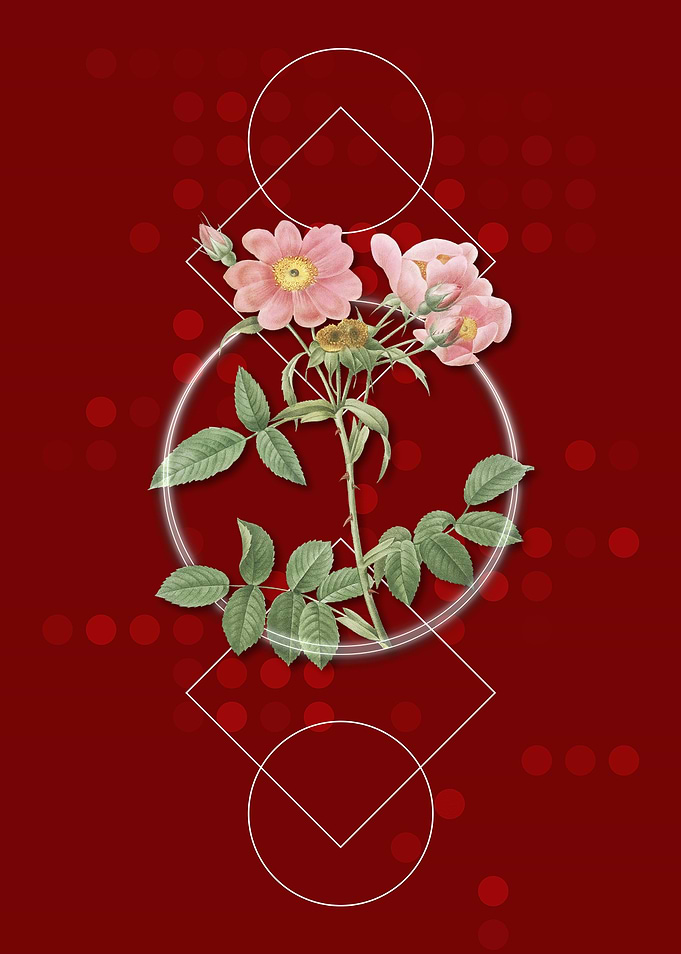 Vintage Lady Monson Rose
