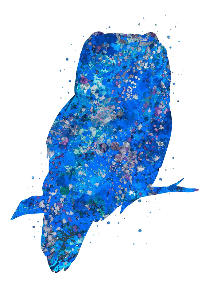 Owl blue art