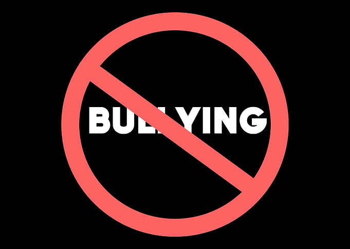 Bullying Nice Person Gift