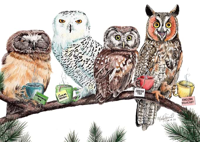 Tea Owls