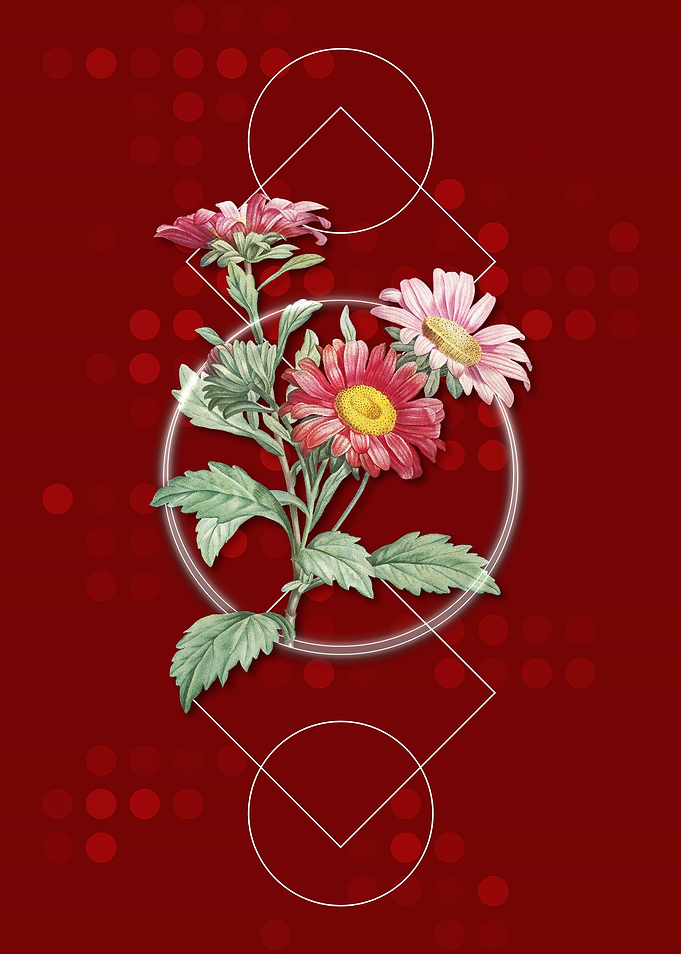 Vintage Red Aster Flowers