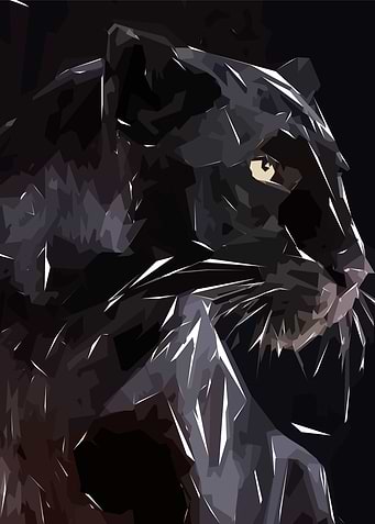 Black Panther Leopard