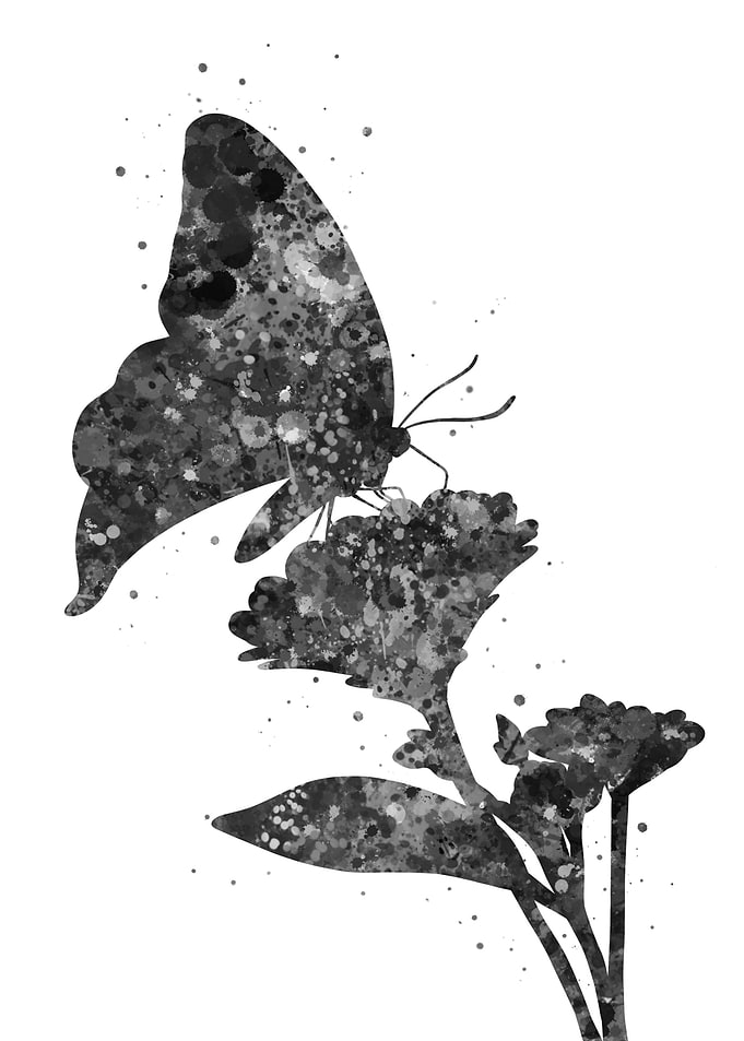 Flower and butterfly