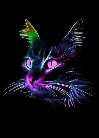 cat poster