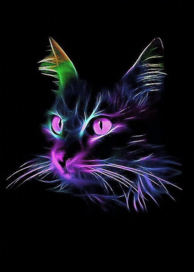cat poster