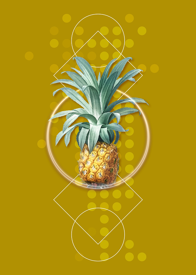 Vintage Pineapple Fruit