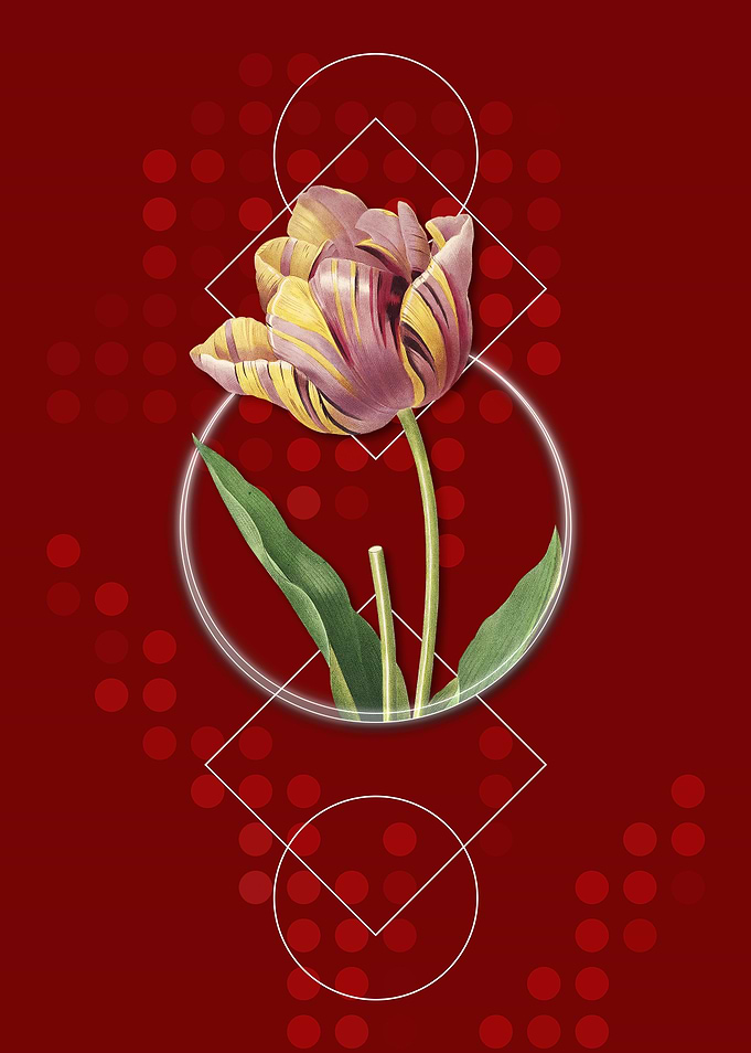 Vintage Tulip Flower