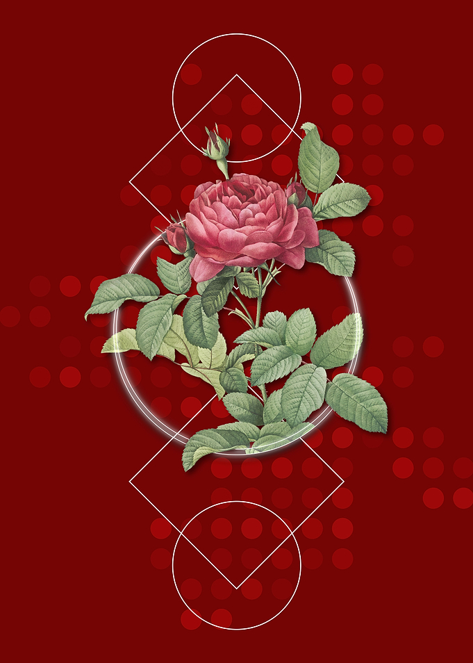 Vintage Red Gallic Rose