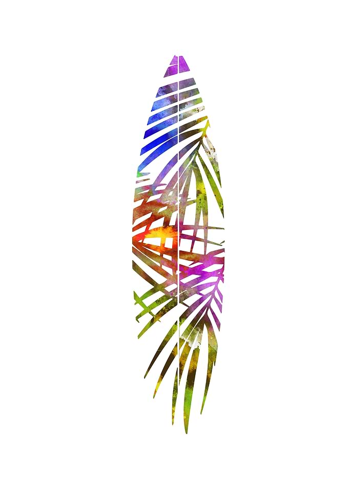 Surfboard