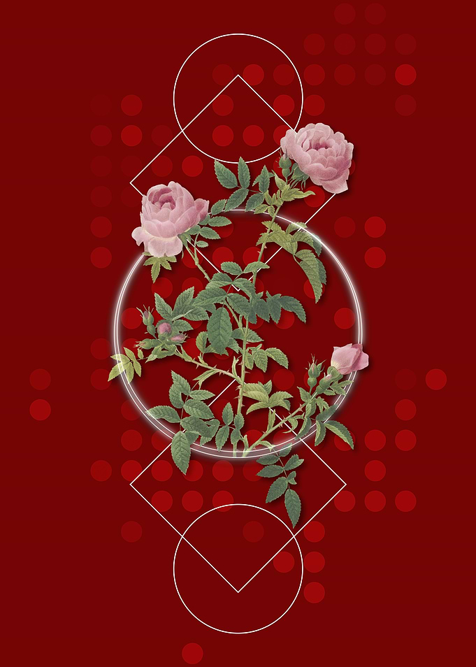 Vintage Rose of the Hedges