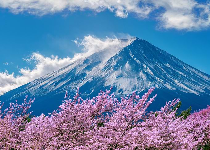 Mt Fuji springtime