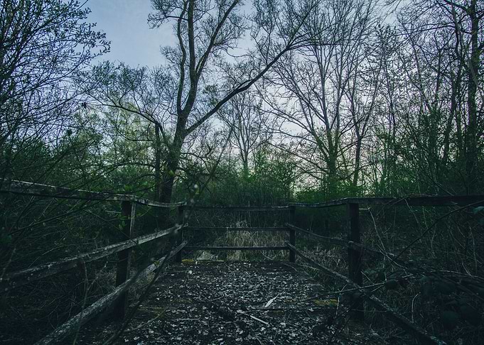 Holzsteg