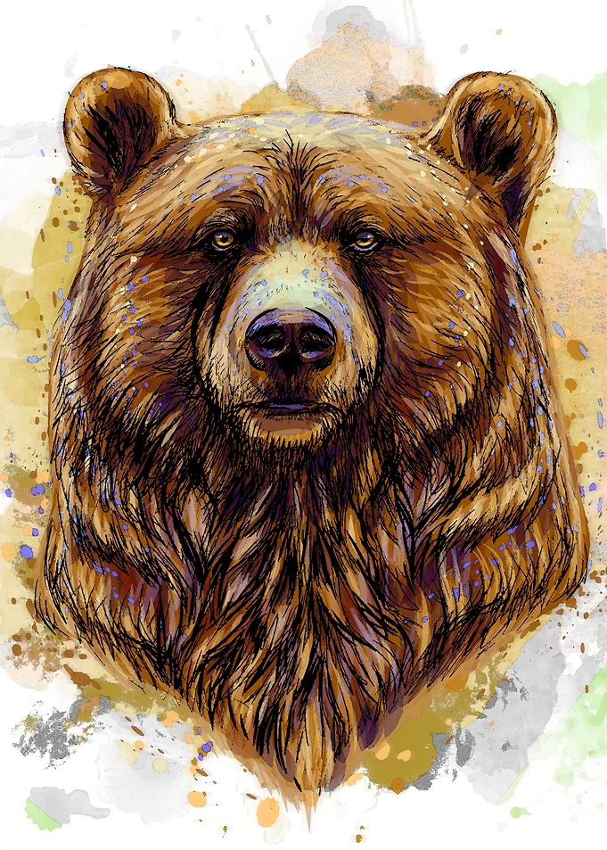 Watercolor Brown Bear