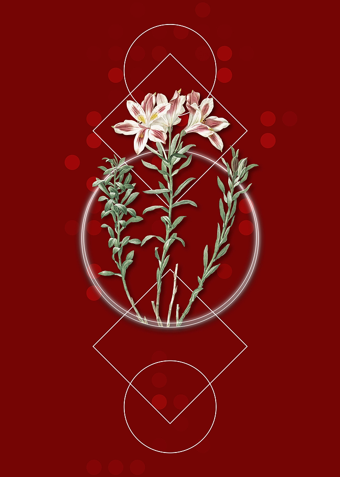Vintage Lily of the Incas