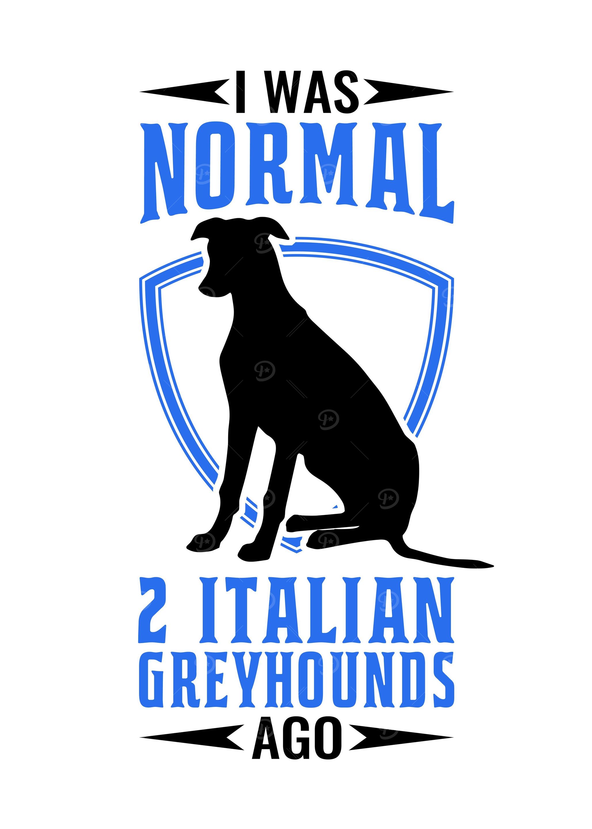 I Was Normal Italian