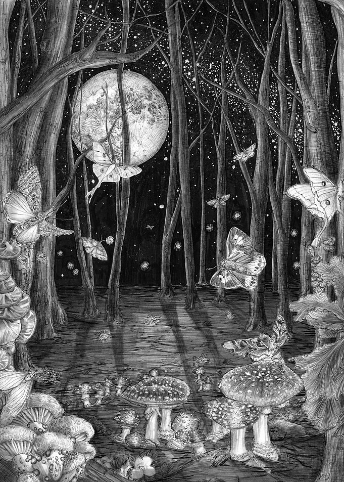 Midnight Magic