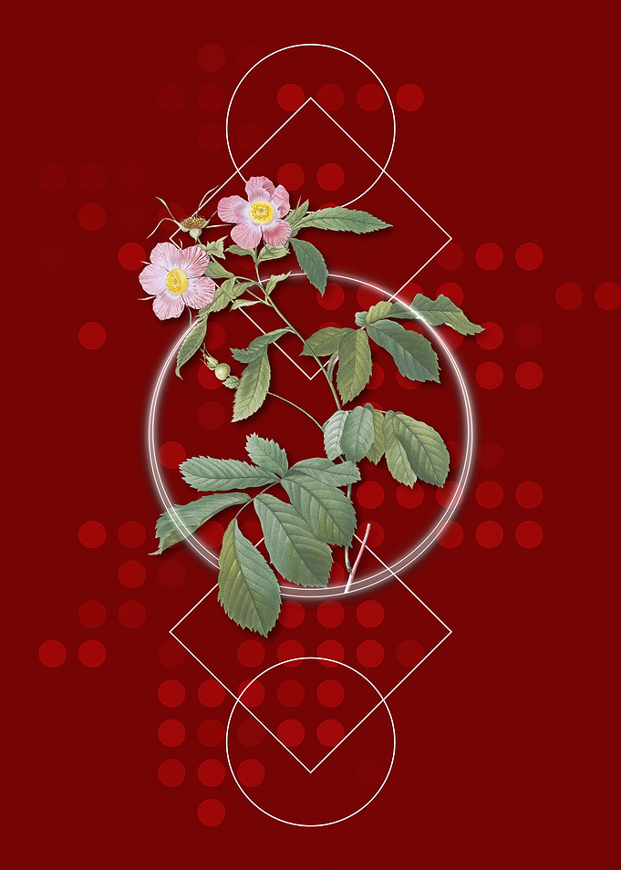 Vintage Pink Alpine Roses