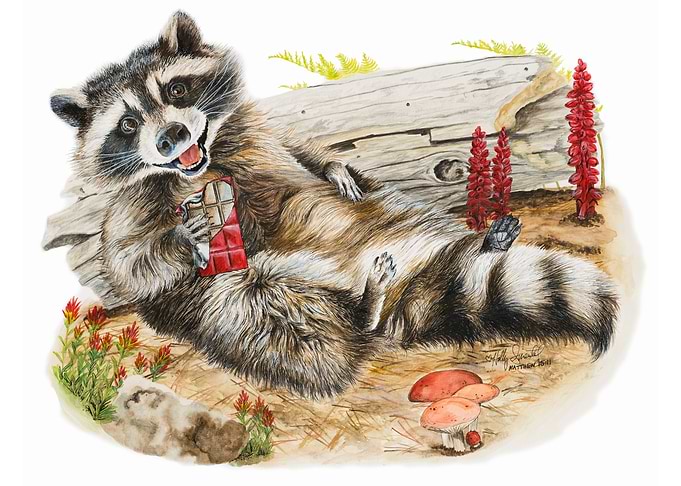 Chocolate Bandit