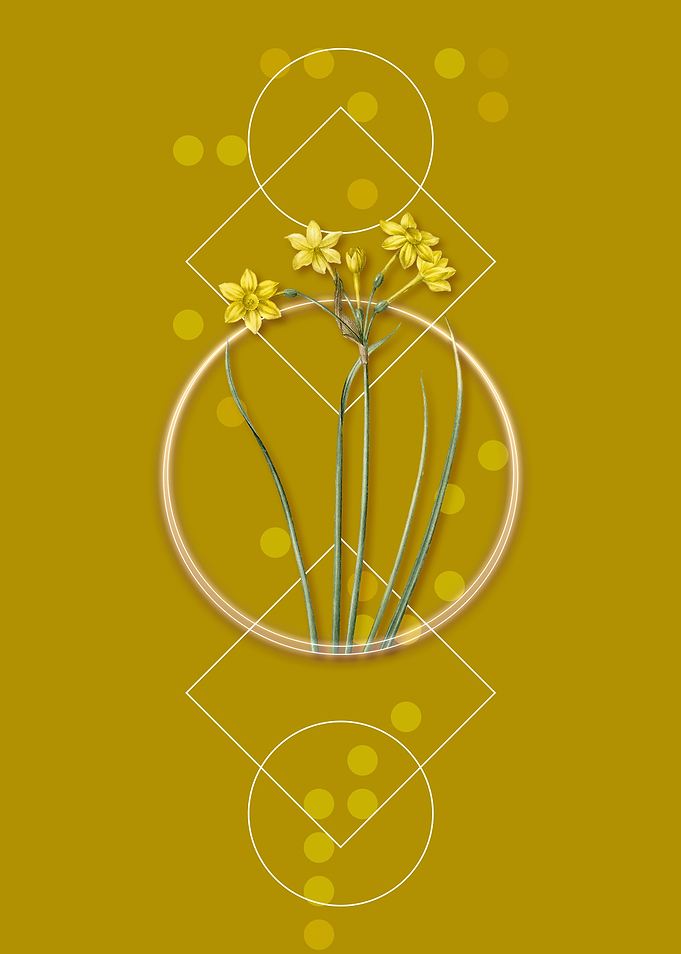 Vintage Rush Daffodil